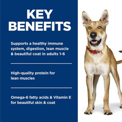 Image showing  Adult Dog Food, Salmon & Brown Rice Recipe, Canned, 13 oz.