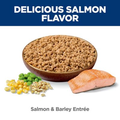 Image showing  Adult Dog Food, Salmon & Brown Rice Recipe, Canned, 13 oz.
