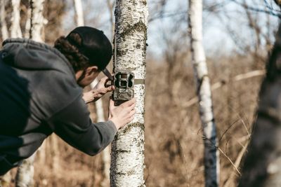 Image showing  ULTRA Cellular Trail Camera