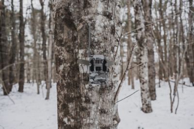 Image showing  ULTRA Cellular Trail Camera