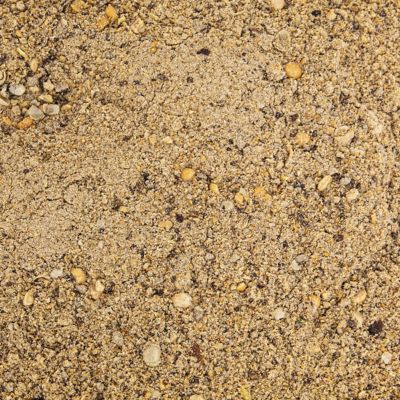 Image showing  Acorn Rage Deer Feed, 5 lb. NY