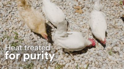 Image showing  Oyster Shell Poultry Treats, 50 lb.