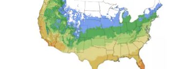 Image showing  2 gal. RoseShrub, Pink