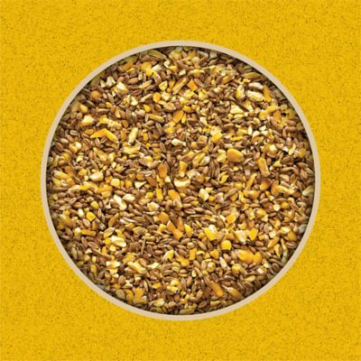 Image showing  Scratch Grains Poultry Feed, 50 lb. Bag