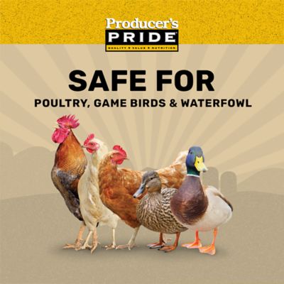 Image showing  Scratch Grains Poultry Feed, 50 lb. Bag