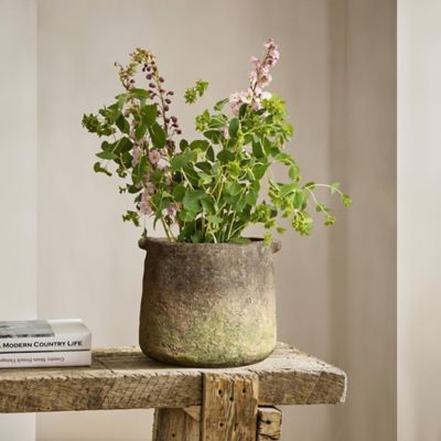 Image showing  Rustic Ginger Root Brown Cement 8.9 in. Tall indoor and Outdoor Cylinder Vase