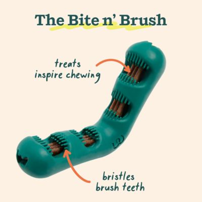 Image showing  Bite n' Brush Large- Green