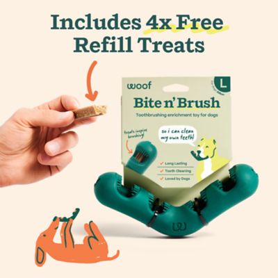 Image showing  Bite n' Brush Large- Green