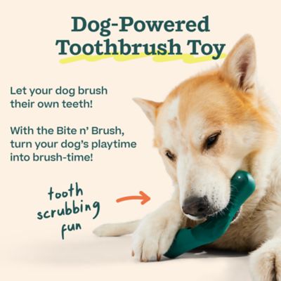 Image showing  Bite n' Brush Small- Green