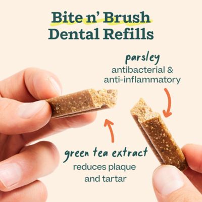 Image showing  Bite n' Brush Dental Refills
