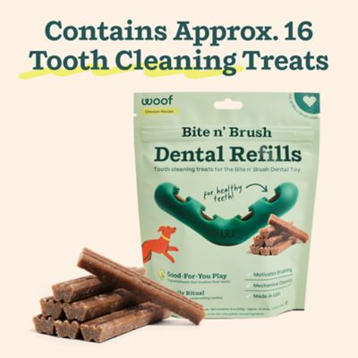 Image showing  Bite n' Brush Dental Refills