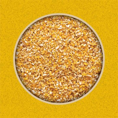 Image showing  Cracked Corn Grains Feed, 50 lb. Bag