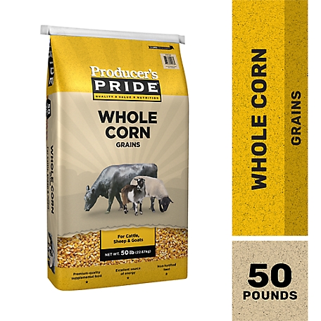 Producer's Pride Whole Corn Poultry Feed, 50 lb. at Tractor Supply Co.