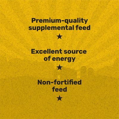 Image showing  Whole Corn Grains Cattle Feed, 50 lb. Bag
