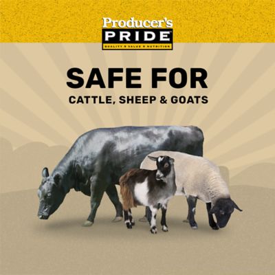 Image showing  Whole Corn Grains Cattle Feed, 50 lb. Bag