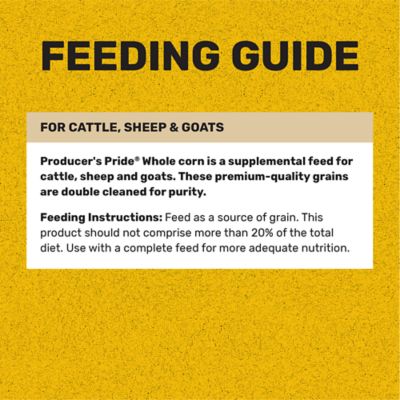 Producer's Pride Whole Corn Grains Cattle Feed, 50 lb. Bag at Tractor ...