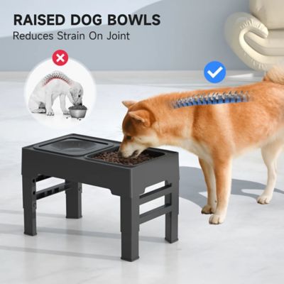 Image showing  Pet Slower Feeder and Water Bowl