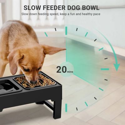 Image showing  Pet Slower Feeder and Water Bowl