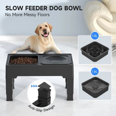 Image showing 5 th els pet Pet Slower Feeder and Water Bowl