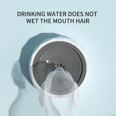 Image showing  Diamond-Shaped Floating Bowl