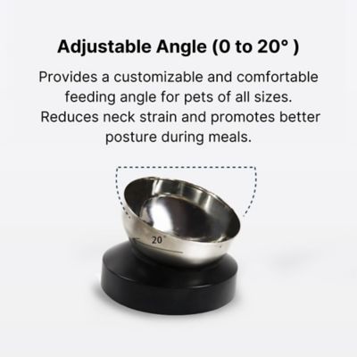 Image showing  Single Stainless Feeding Bowl