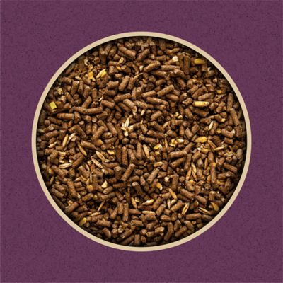 Image showing  12% Sweet Textured Livestock Feed, 50 lb. Bag