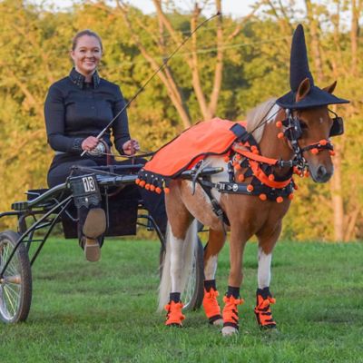 Image showing 1 th Tough1 5 pc. Halloween Harness Set