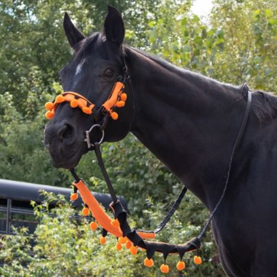 Image showing  5 pc. Set Halloween Bridle & Rein Covers