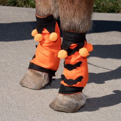 Image showing  4 pc. Set Halloween Leg Wraps, 95-774MN-0-0
