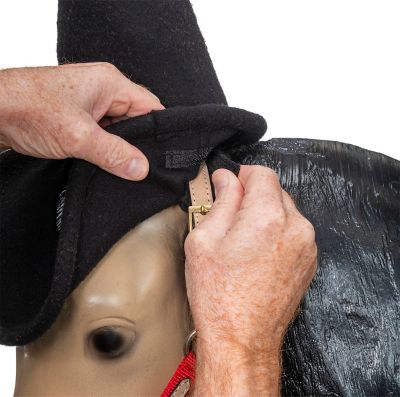 Image showing  Halloween Witch Horse Hat, Black