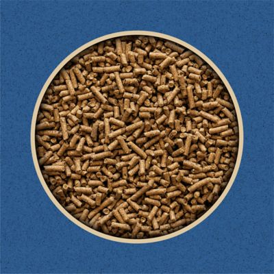 Image showing  Calf Starter Pelleted Cattle Feed, 50 lb. Bag