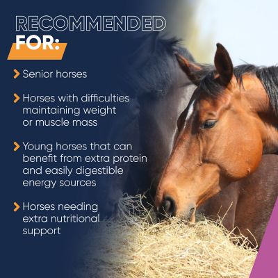 Image showing  Strucomix Puffed/Extruded Grain Senior Horse Feed