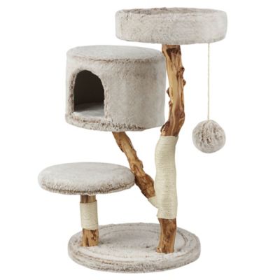 Image showing  Premium 3 ft. Climbing Cat Tower