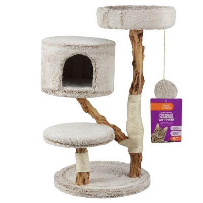 Image showing  Premium 3 ft. Climbing Cat Tower
