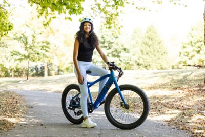 Image showing  Quantis Adult eBike
