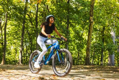 Image showing  Quantis Adult eBike