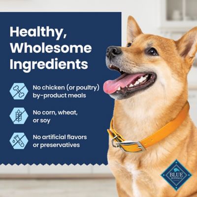 Image showing 5 th Blue Buffalo Dental Dog Chew, Medium, 14 ct.