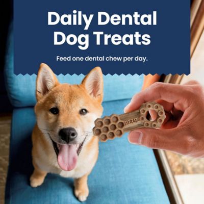 Image showing 9 th Blue Buffalo Dental Dog Chew, Medium, 14 ct.