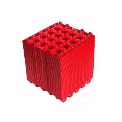 Image showing  20 Turkey, Duck Egg Tray