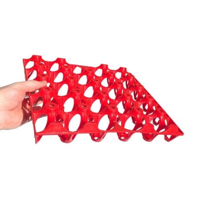 Image showing  20 Turkey, Duck Egg Tray