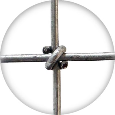 Image showing  330 ft. x 48 in. Square Knot CL1 Galvanized Sheep and Goat