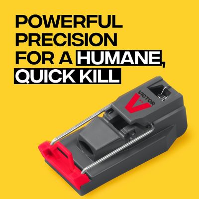 Image showing  Quick-Kill Mouse Traps