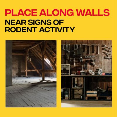 Image showing  Quick-Kill Mouse Trap