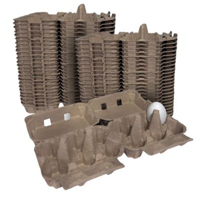 Image showing  50 pk. Natural Pulp, Flat Top Blank Egg Cartons for 12 Chicken Eggs (2x6)
