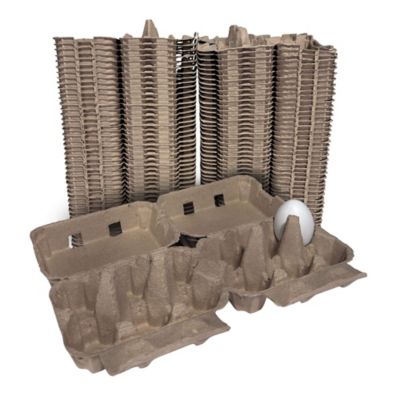 Image showing  100 pk. Natural Pulp, Flat Top Blank Egg Cartons for 12 Chicken Eggs (2x6)
