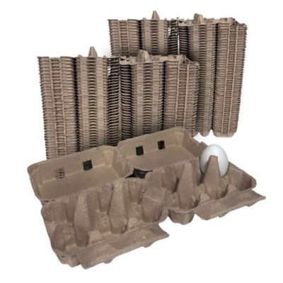Image showing  250 pk. Natural Pulp, Flat Top Blank Egg Cartons for 12 Chicken Eggs (2x6)