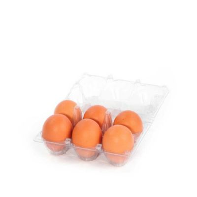 Hatching Time 100 Pack Plastic Egg Carton for 6 Chicken Eggs