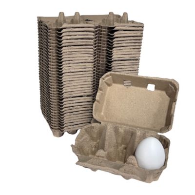 Image showing 2 th Hatching Time 100 pk. Natural Pulp, Flat Top Blank Egg Cartons for 6 Chicken Eggs