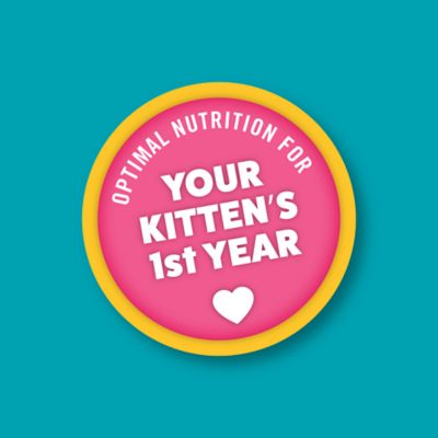 Image showing 3 th Paws & Claws Kitten Indoor/Outdoor Mix Chicken Formula Dry Cat Food