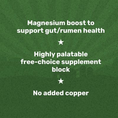 Image showing  Hi-Mag Livestock Mineral Block, 40 lb.